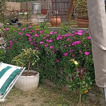 La Casa di Trilli-2