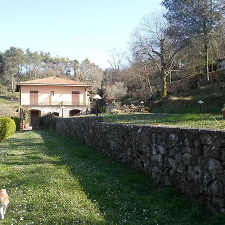 I Lecci-3