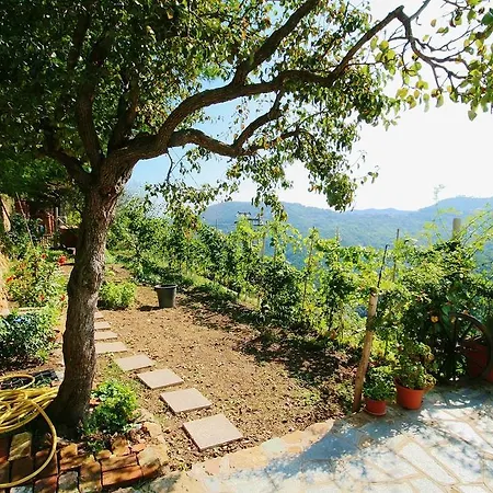 Agriturismo Costamagna-3