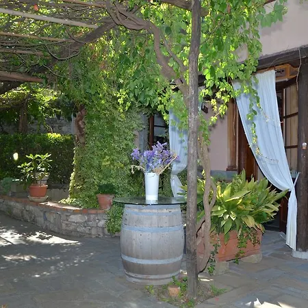 Locanda Dal Moccia-3
