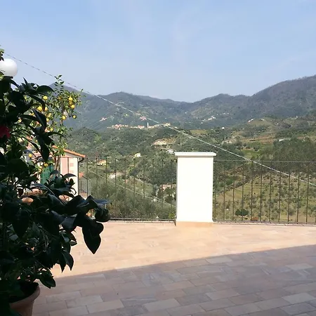 Levantotwo Bedrooms Flat With Terrace-2