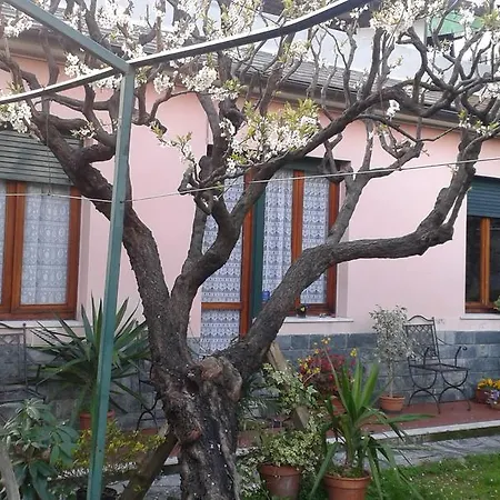 Casa Tra Il Verde E Il Blu-2