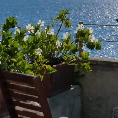 Le Sirene-2