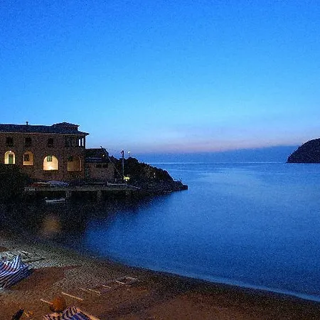 Pino - Barolo-3