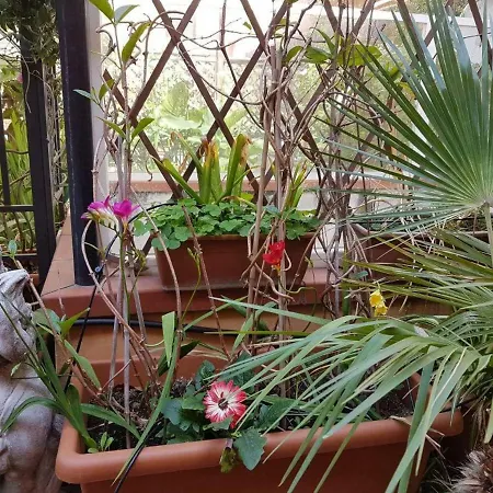 B&B Alassio-3
