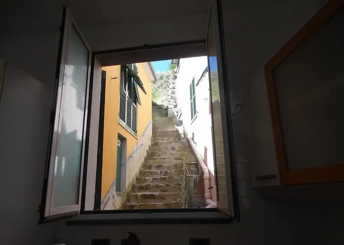 Pet friendly Irma Manarola Apartment