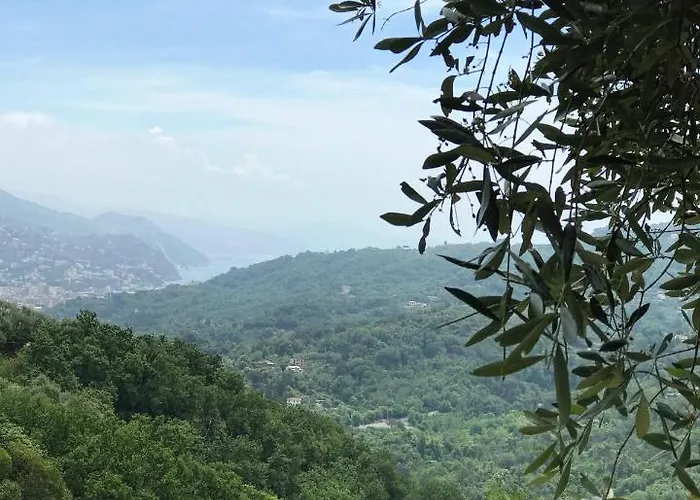 Bed and Breakfast La Riviera Bed & Breakfast Rapallo