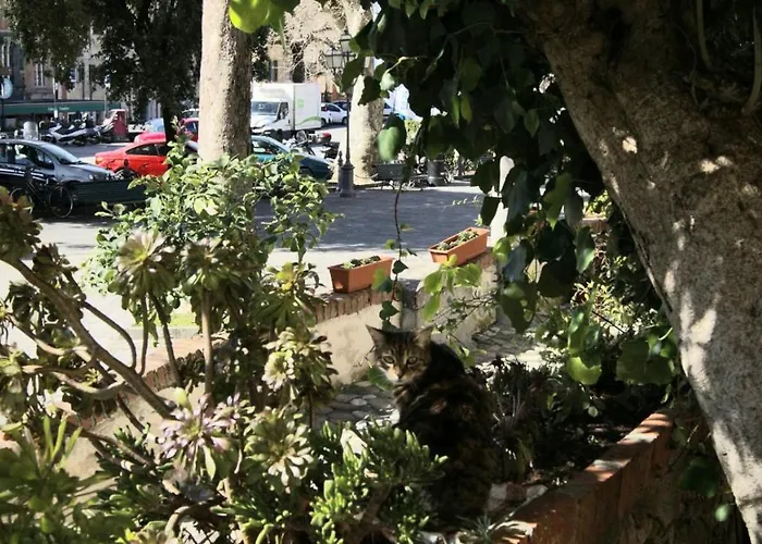 Huisdiervriedelijke Affittacamere La Loggia Levanto