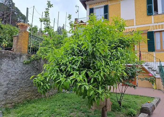 Affittacamere Antonella Monterosso al Mare