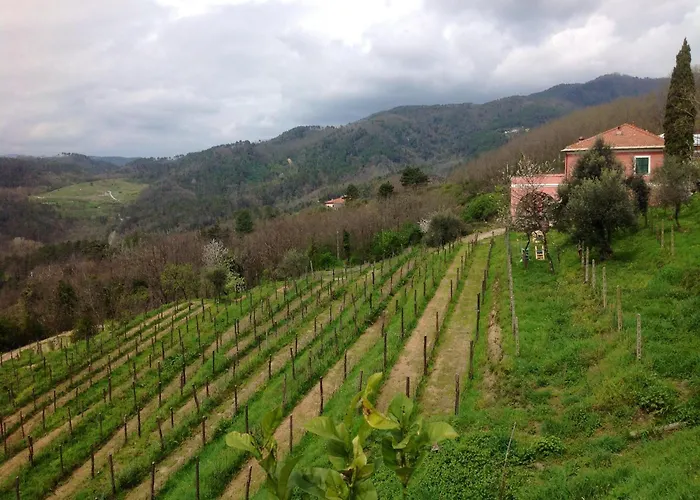 Agriturismo Cerrolungo Villa La Spezia