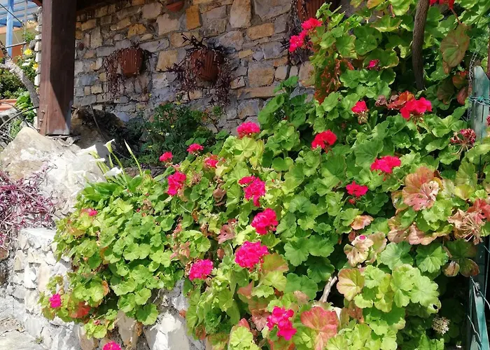 B&B La Mimosa Del Golfo Ospedaletti