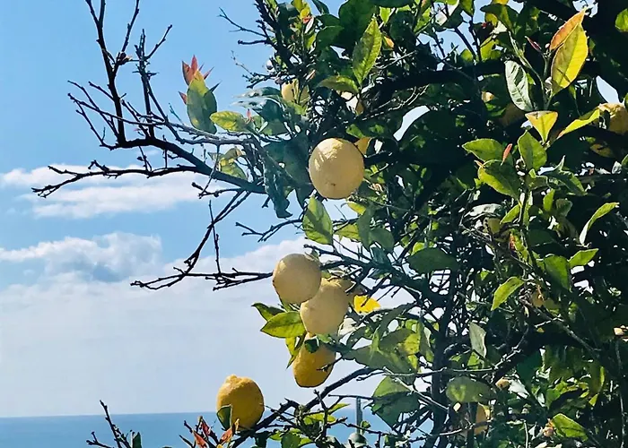 Villa Cav Gli Ulivi di Bogliasco parcheggio privato gratuito con Piscina