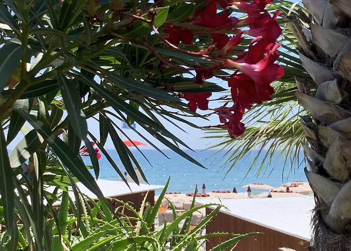 Hotel Corallo Imperia