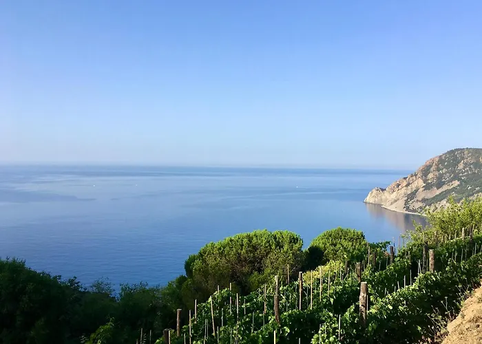Villa Pietrafiore Monterosso al Mare