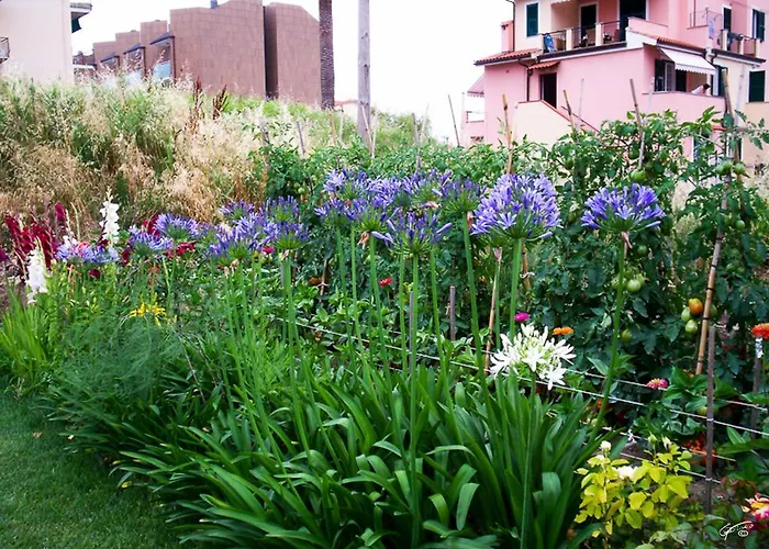 Guest House Arancia145 Ceriale