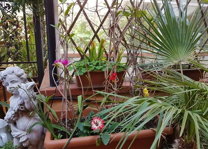 B&B Alassio